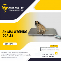Cattle animal Weight floor weighing scales for industries in Uganda