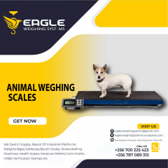 Electronic Animal Weighing Scales Company in Kampala Uganda