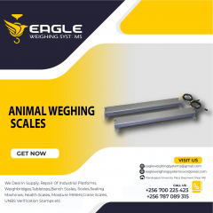 Platform floor scale industrial animal weighing scales in Uganda
