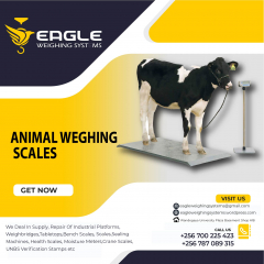 Cattle animal Platform Weighing Scale company in Kampala Uganda