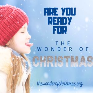 The Wonder of Christmas, Van Wyck, South Carolina, United States