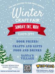 Winter Craft Fair (Indoors! @ Will C. Wood High School)