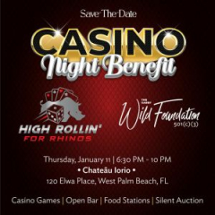 Casino Night: High Rollin' for Rhinos to Support The Gabby Wild Foundation