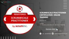 Registered Scrum@Scale Practitioner Certification Online Training
