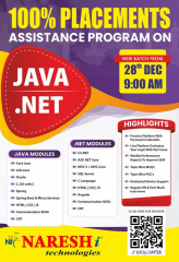 100% Placement Assistance Program On Java Developer & .Net - Naresh IT