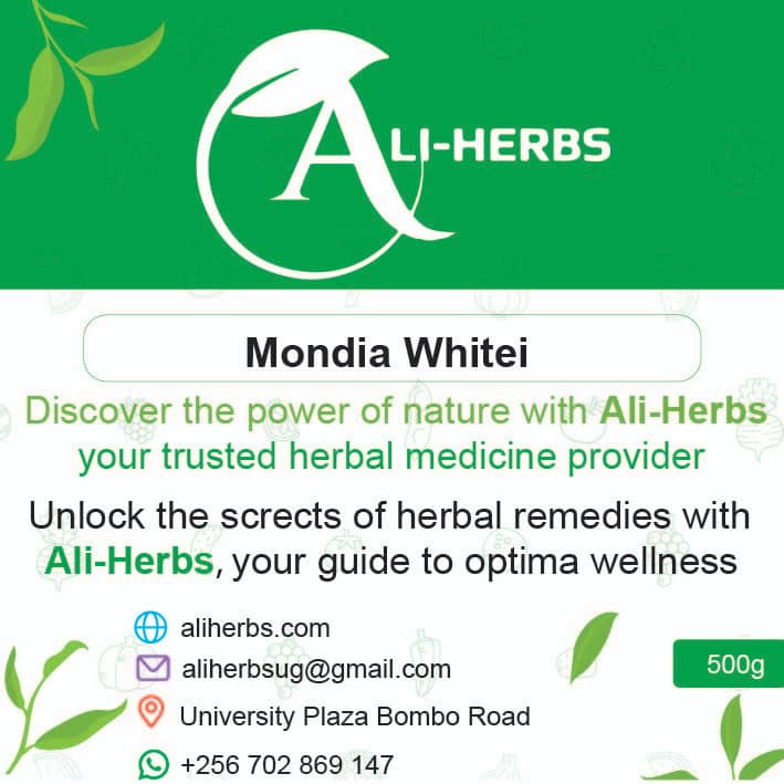+256 702869147 Herbal remedies for Mulondo herbal powder in USA, Europe, Canada, Kampala, Central, Uganda
