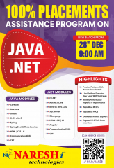 100% Placement Assistance Program On Java Developer & .Net in  Hyderabad - NareshIT