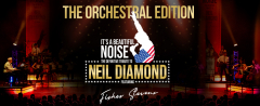 It's A Beautiful Noise with Fisher Stevens as Neil Diamond