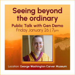 Seeing Beyond the Ordinary: Buddhist advice for creating a pure world