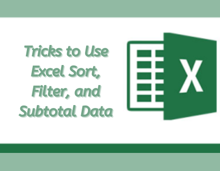 Maximizing Efficiency While Working with Excel Database: Sort, Filter, Subtotal, and More, Online Event