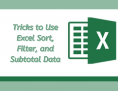 Maximizing Efficiency While Working with Excel Database: Sort, Filter, Subtotal, and More