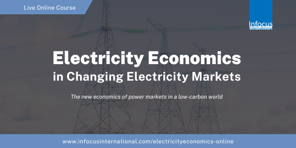 Electricity Economics in Changing Electricity Markets, Online Event