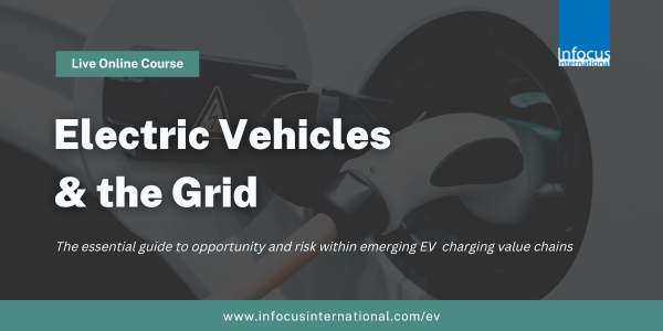 Electric Vehicles & the Grid, Online Event