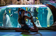 Flow with the Fish - Pilates in the Aquarium