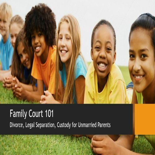 Family Court 101, Online Event