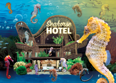 SEA LIFE New Jersey's Seahorse Hotel Event