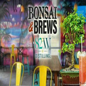 Bonsai and Brews at 82West, Tampa, Florida, United States