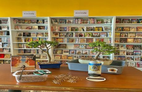 Bonsai and Brews at Beerbusters Movie Bar, Pinellas Park, Florida, United States