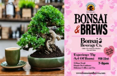 Bonsai and Brews at Bonsai Beverage Co.