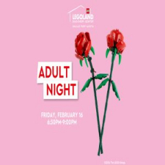 Built For Each Other - Adult Night at LEGOLAND Discovery Center Dallas/Ft. Worth!