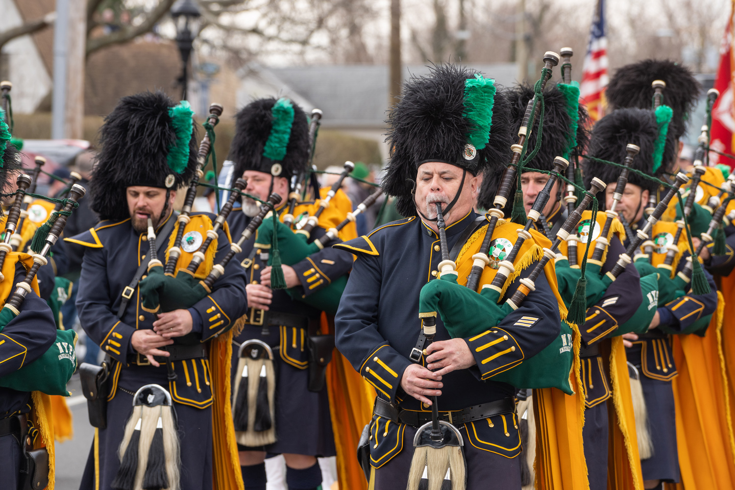 St. Patrick’s Day Celebration in Dublin 2024, Online Event