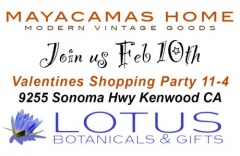 Valentine's Shopping Party