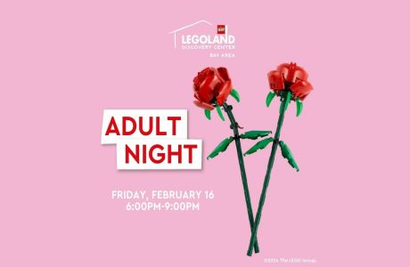 Built for Each Other - Adult Night at LEGOLAND Discovery Center Bay Area on February 16!, Milpitas, California, United States