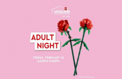 Built for Each Other - Adult Night at LEGOLAND Discovery Center Bay Area on February 16!