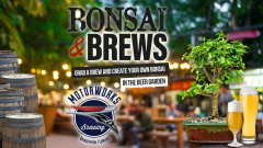 Bonsai and Brews at Motorworks Brewing | Bradenton