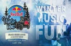 Red Bull Winter Vibes