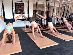 Yoga Teacher Training Courses & Yoga Retreats | Thailand