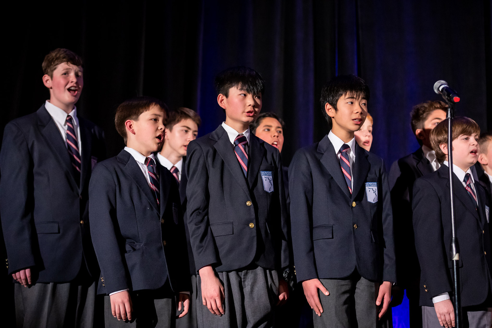 San Francisco Boys Chorus Gala and Auction Evening, March 2 at the St. Regis Hotel, San Francisco, California, United States
