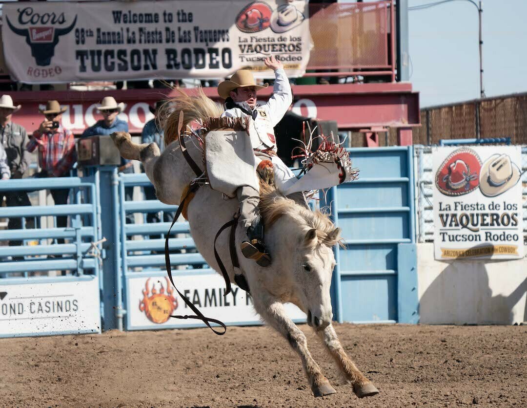 La Fiesta de los Vaqueros Tucson Rodeo, Tucson, Arizona, United States