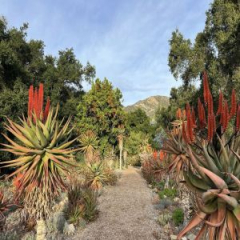 Amphibian Presents: Nature and Purpose Day Retreat at Taft Gardens