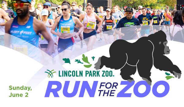 Run for the Zoo, Chicago, Illinois, United States