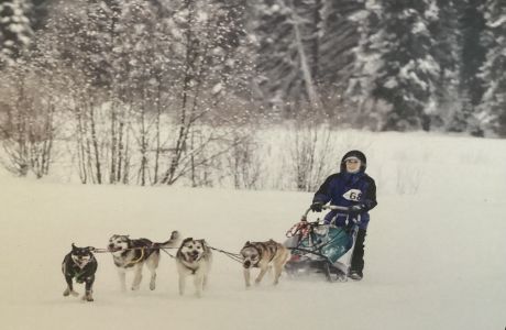 Flathead Classic Sled Dog/Ski and Bike Skijor Race, Olney, Montana, United States