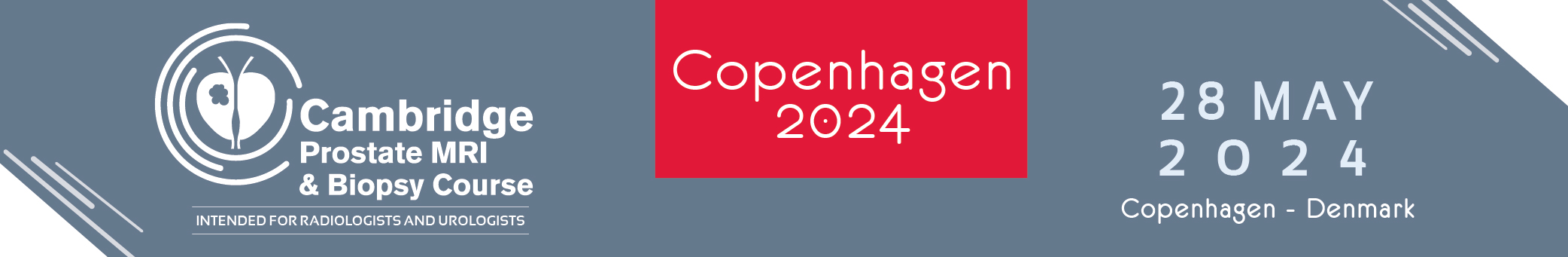 The Cambridge Prostate MRI & Biopsy Course, Copenhagen, Hovedstaden, Denmark