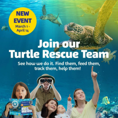 Turtle Rescue Team at SEA LIFE at Mall of America