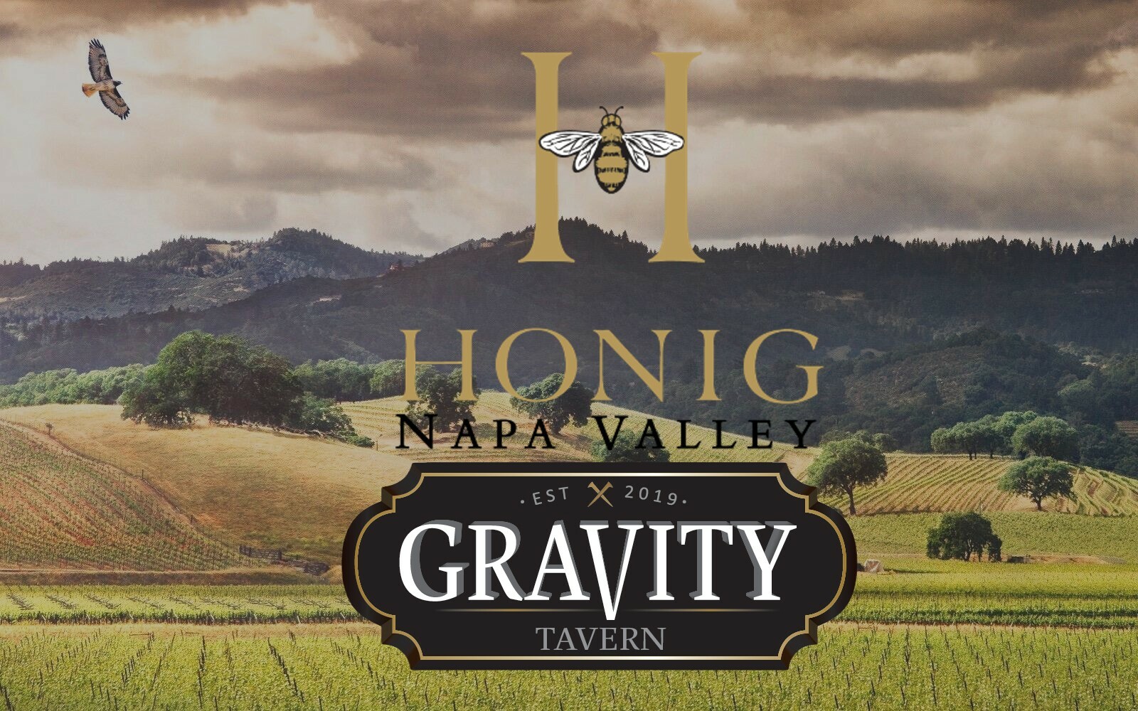 Honig Wine Dinner at Gravity Tavern, Mill Valley, California, United States