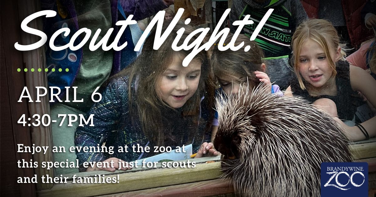 SCOUT NIGHT @ Brandywine Zoo, Wilmington, Delaware, United States