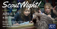 SCOUT NIGHT @ Brandywine Zoo