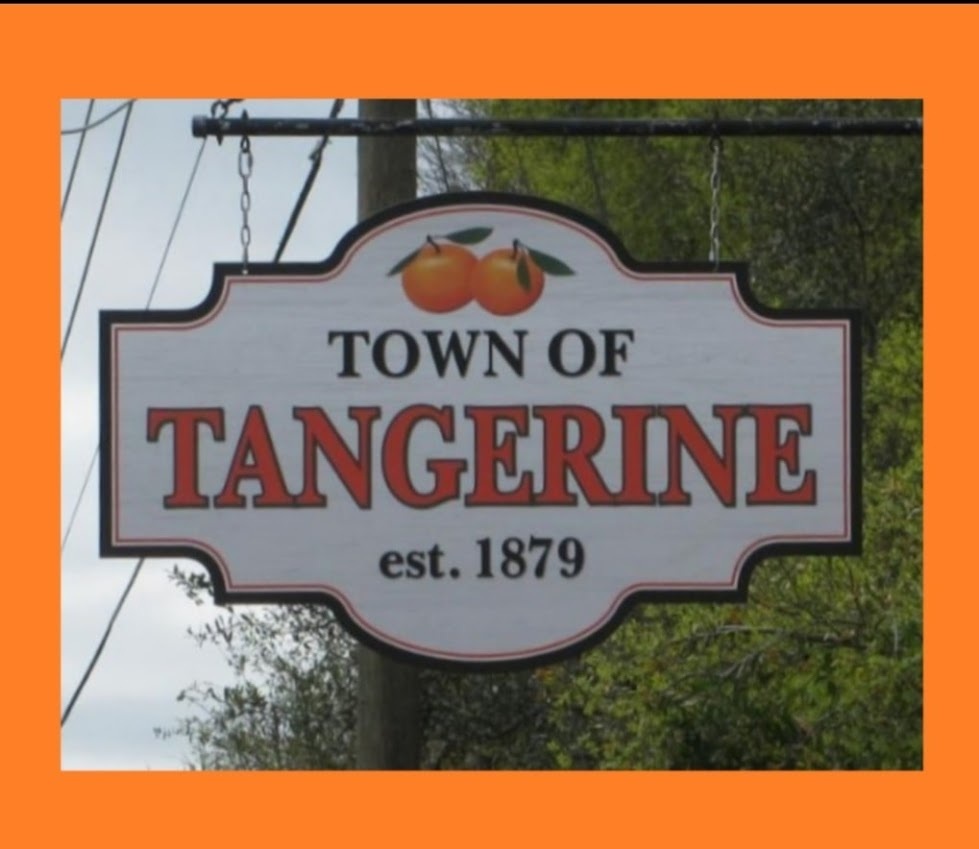 Tangerine Estate Sale, Mount Dora, Florida, United States