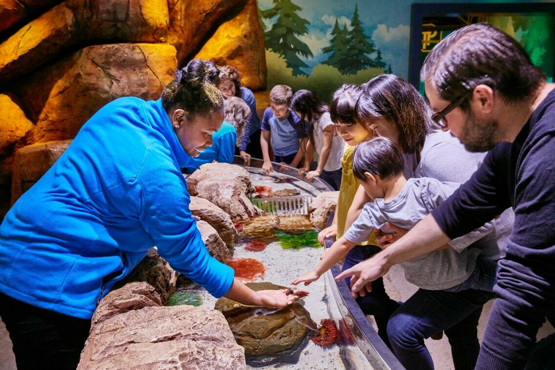 Explore More this Spring Break at SEA LIFE New Jersey, East Rutherford, New Jersey, United States