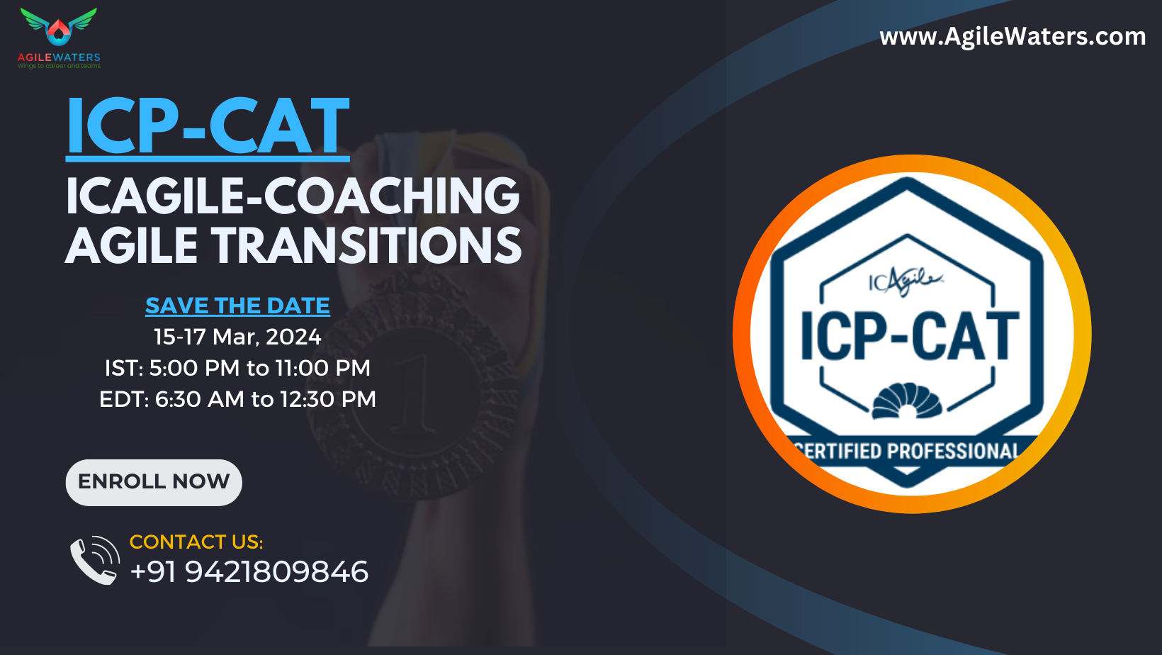 ICP-CAT (ICAgile-Coaching Agile Transitions), Online Event