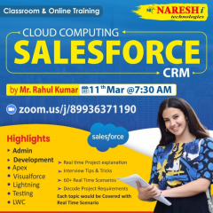 Salesforce CRM Training Institute In Hyderabad 2024 | NareshIT
