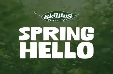 Spring Hello! At Skillins Greenhouses, Falmouth, Maine, United States