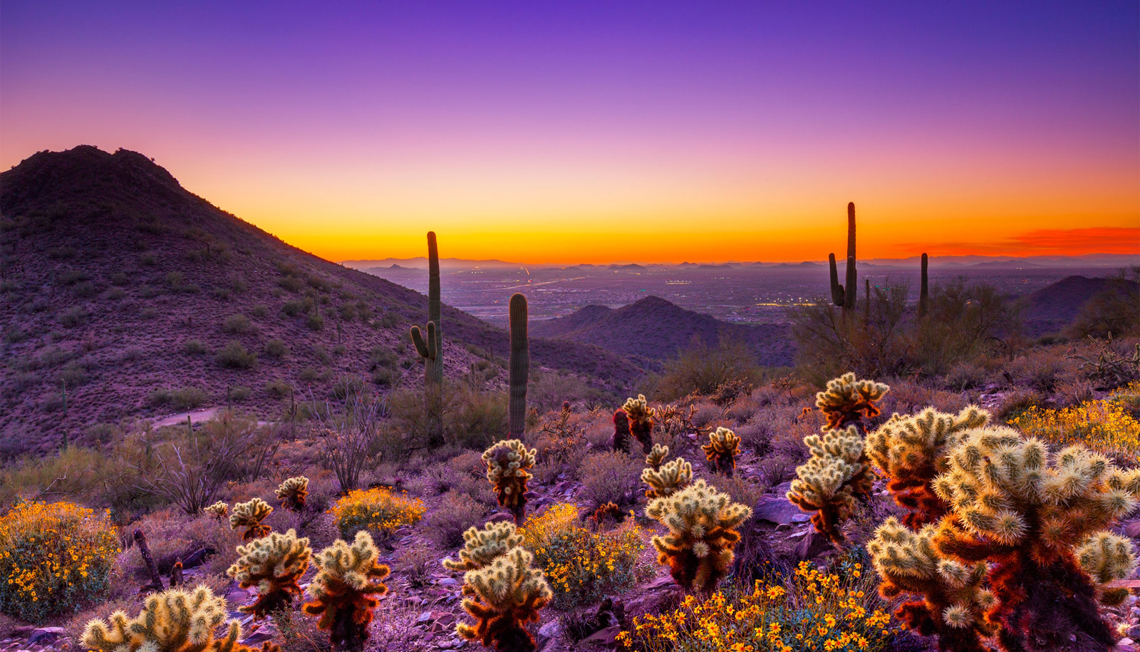 Echocardiography Best Practice: A Case-Based Update, Scottsdale, Arizona, United States