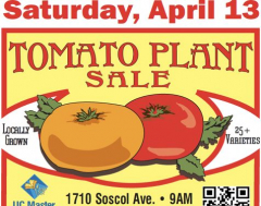 UC Master Gardeners' Tomato Plant Sale!