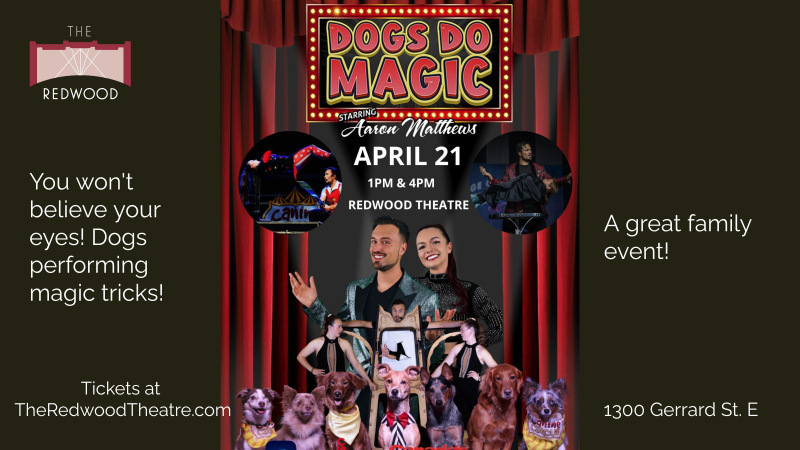 Dogs Do Magic - A Magical Event, Toronto, Ontario, Canada