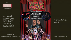 Dogs Do Magic - A Magical Event